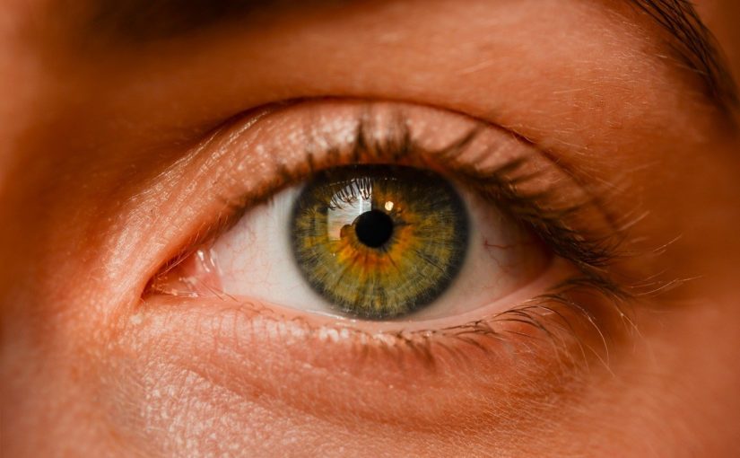 Oczy to szczególny organ. To właśnie dzięki nim rozróżniamy.